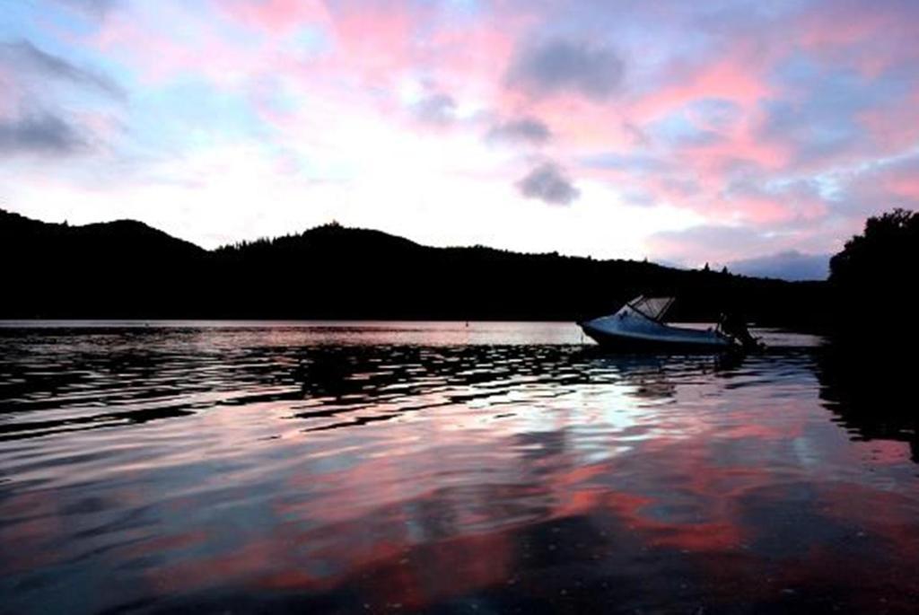 Lochmara Lodge - 20Mins By Boat From Picton Lochmara Bay Exterior photo